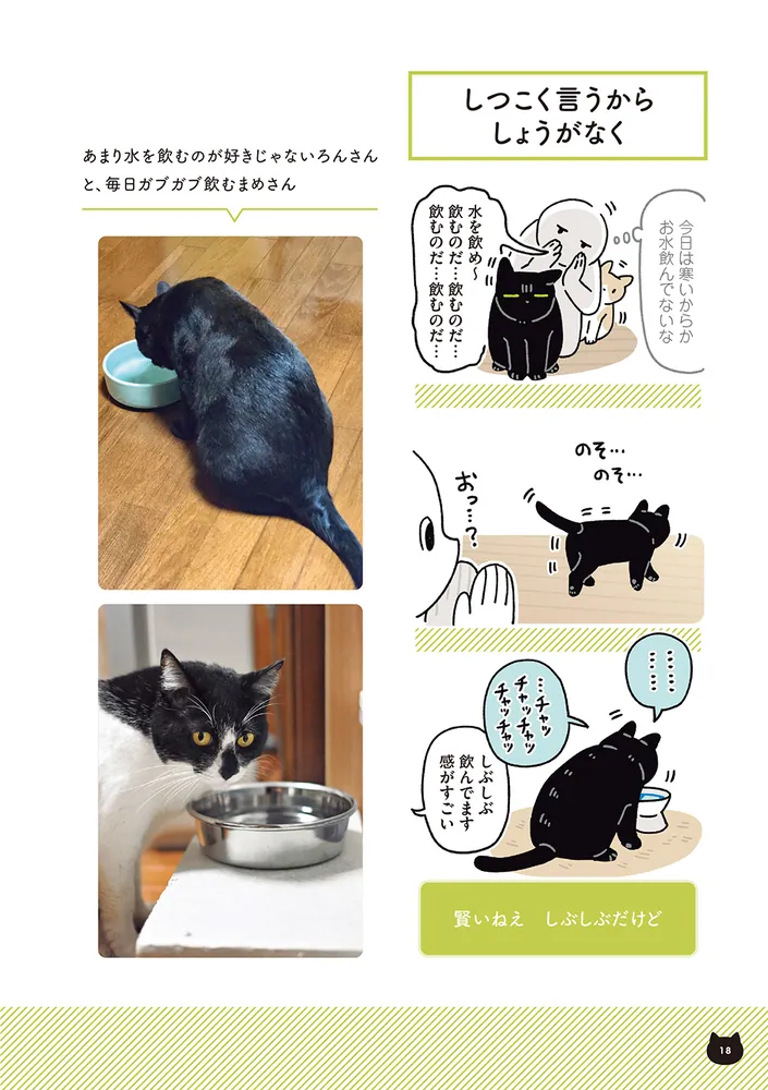 再々値下げしました。アンドレ　デュラントン　「鳥と猫」 黒猫ろんと暮らしたら6 AKR(著) - KADOKAWA | 版元