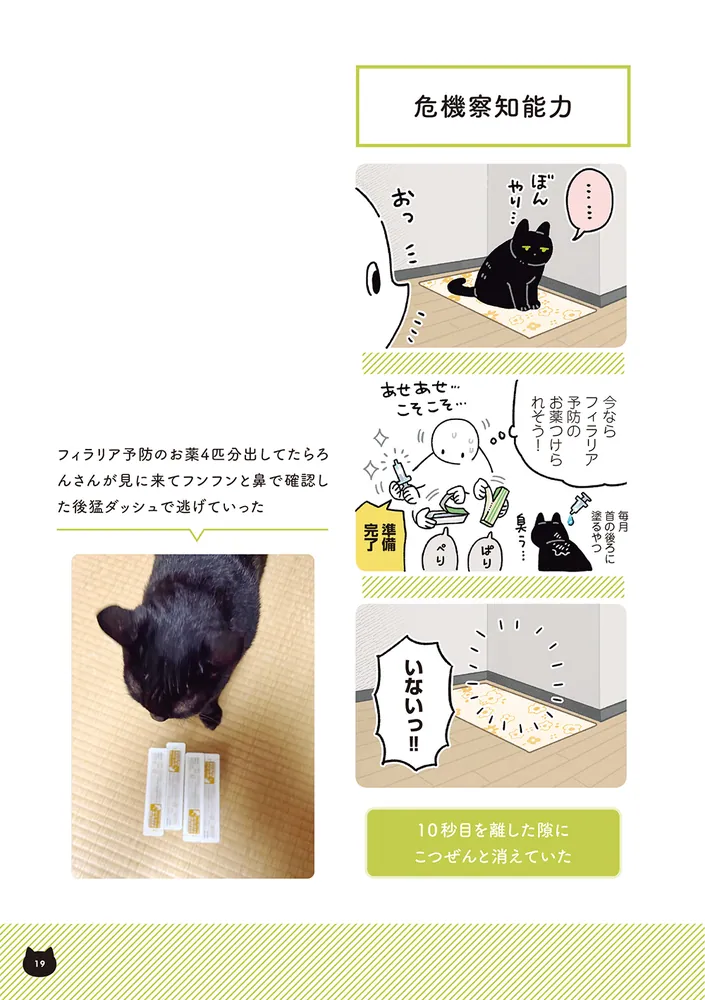 再々値下げしました。アンドレ　デュラントン　「鳥と猫」 GtFJ5qObkAAOc5u.jpg