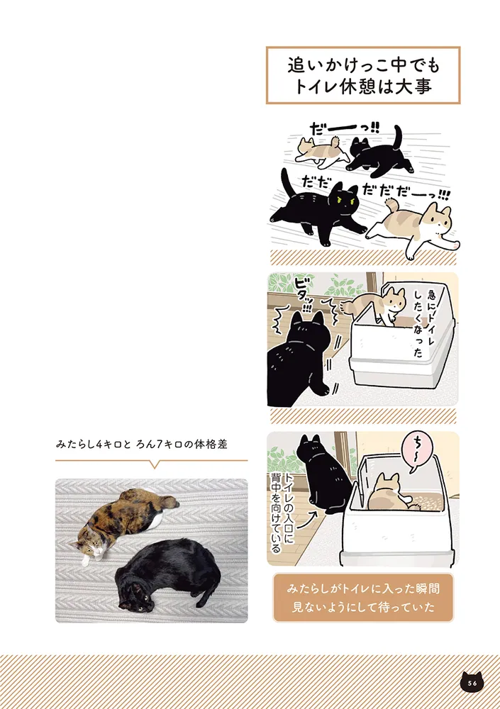 黒猫ろんと暮らしたら7」AKR [コミックエッセイ] - KADOKAWA