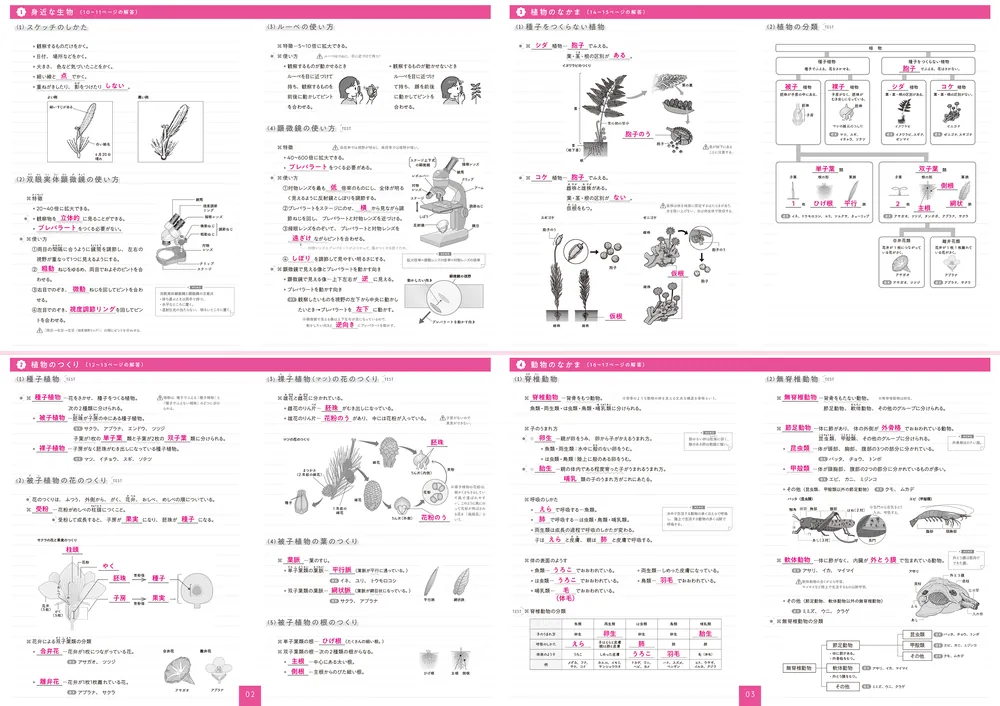 ポイント整理でテストの点数超アップ！ 中学理科のまとめノート」み