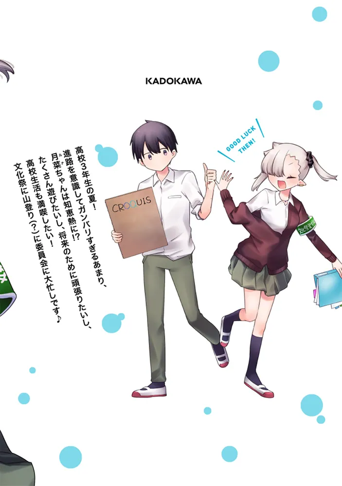 ちゃんと吸えない吸血鬼ちゃん 8」二式恭介 [ドラゴンコミックス