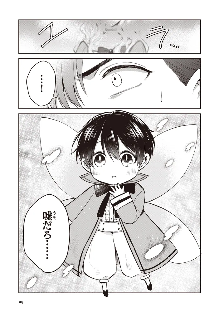 義妹が聖女だからと婚約破棄されましたが、私は妖精の愛し子です