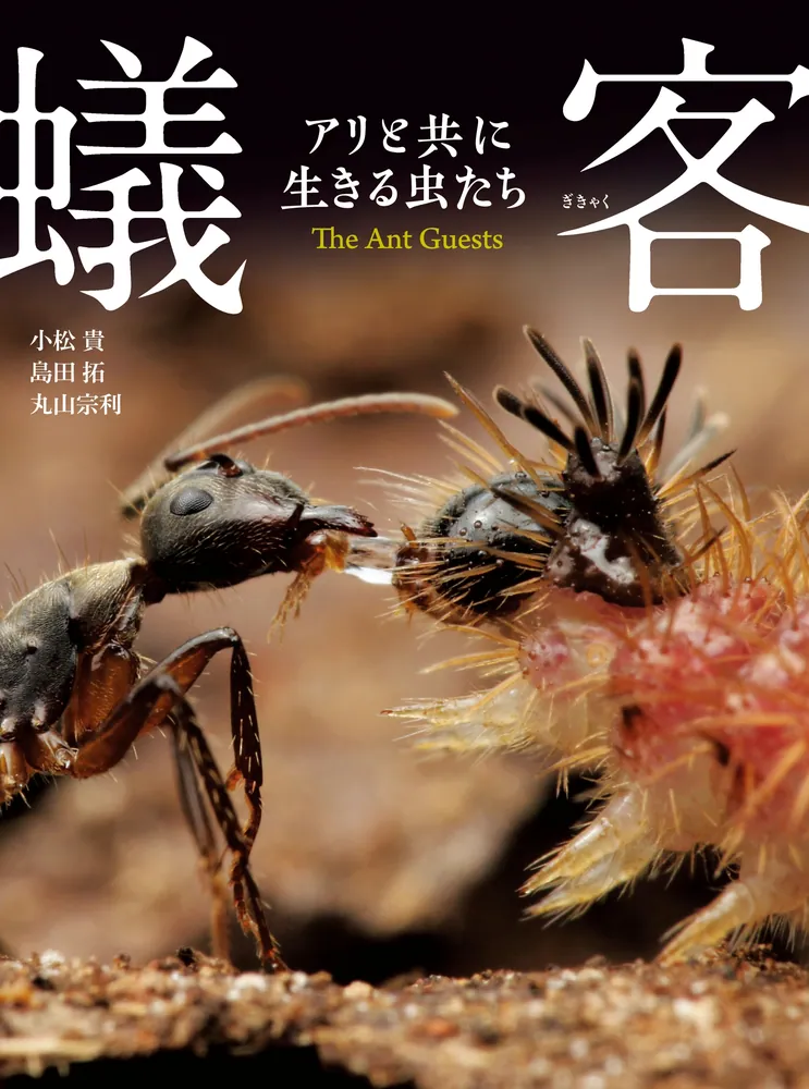 蟻客 アリと共に生きる虫たち」小松貴 [ノンフィクション] - KADOKAWA