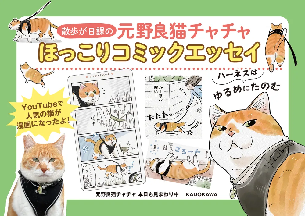 元野良猫チャチャ 本日も見まわり中」かーさん [コミックエッセイ