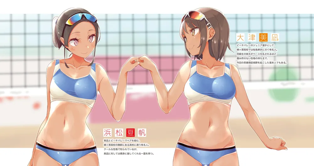 Amazon.co.jp: 青春ブタ野郎はビーチクイーンの夢を見ない+