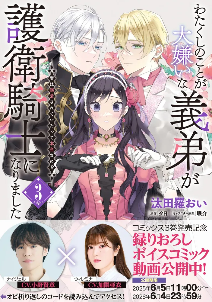 わたくしのことが大嫌いな義弟が護衛騎士になりました わたくしのことが大嫌いな義弟が護衛騎士になりました 1 実は