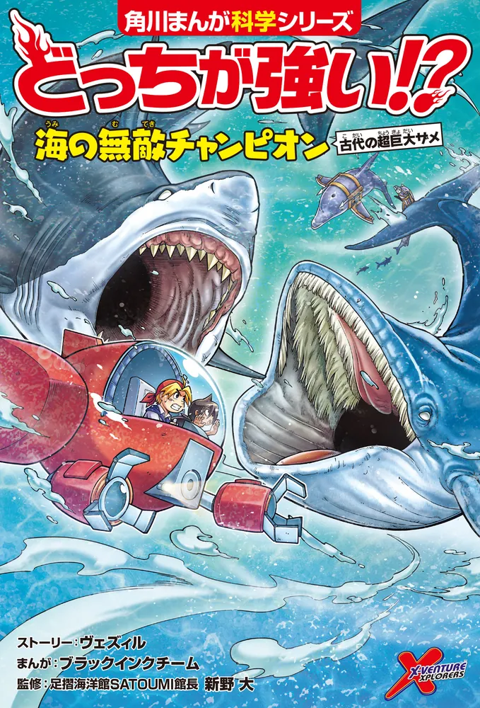 大変古いインドの細密画です。何かの物語の一部でしょうか　美しいものです ラテン語の世界史 | 本屋ロカンタン