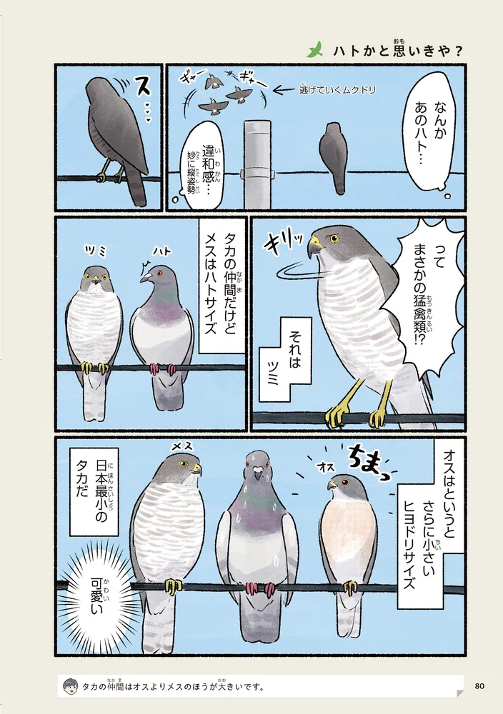 まだまだ！意外と知らない鳥の生活」piropiropiccolo [コミック