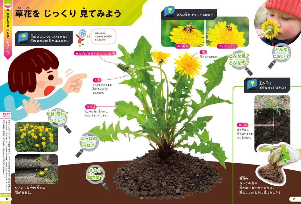 角川の集める図鑑GET！ ひらめく理科」日本科学未来館 [学習