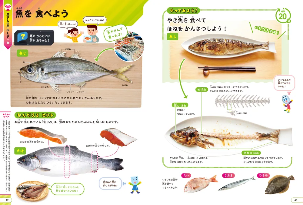 角川の集める図鑑GET！ ひらめく理科」日本科学未来館 [学習