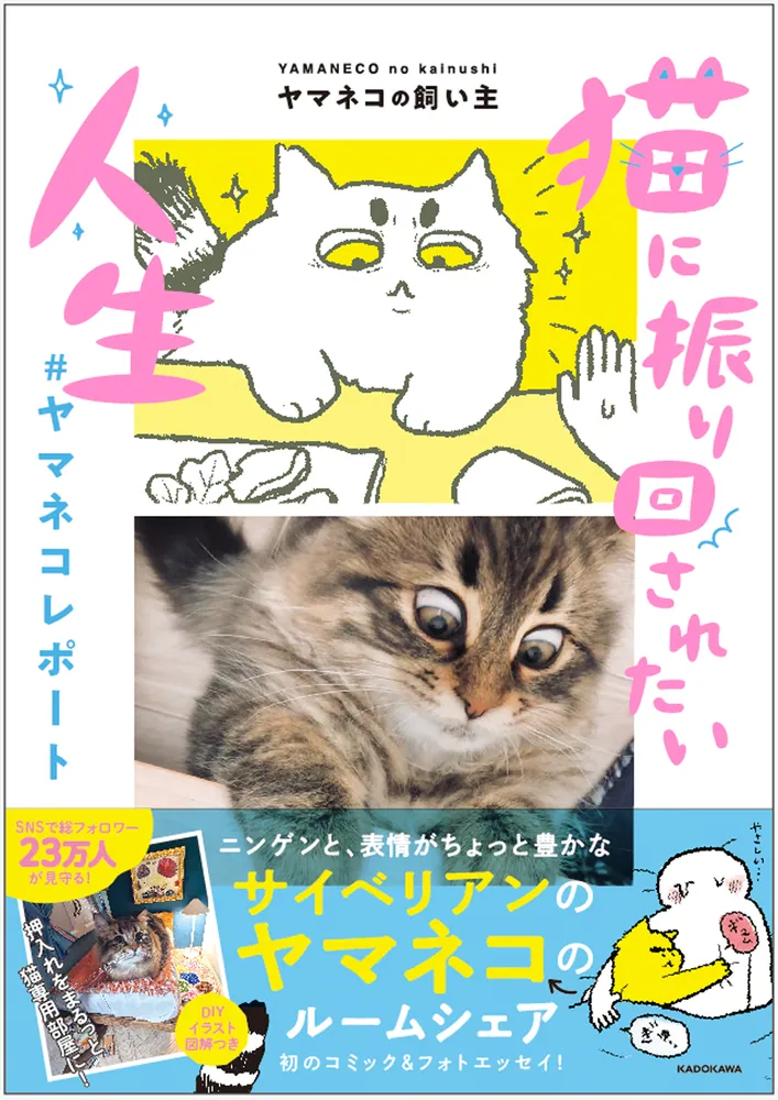 やまねこページ 猫に振り回されたい人生 #ヤマネコレポート」ヤマネコの飼い主