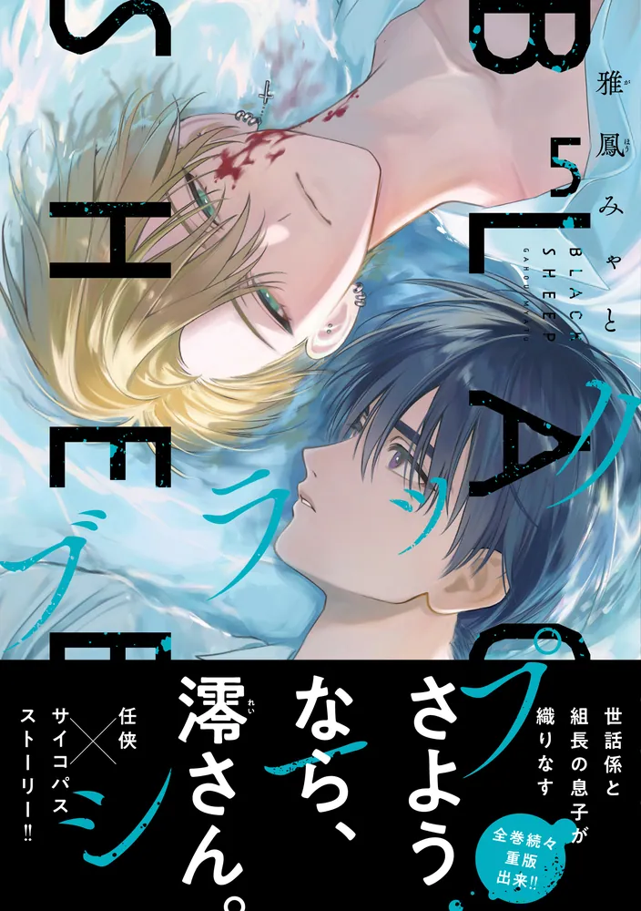 ブラックシープ 5」雅鳳みゃと [MFコミックス ジーンシリーズ] - KADOKAWA