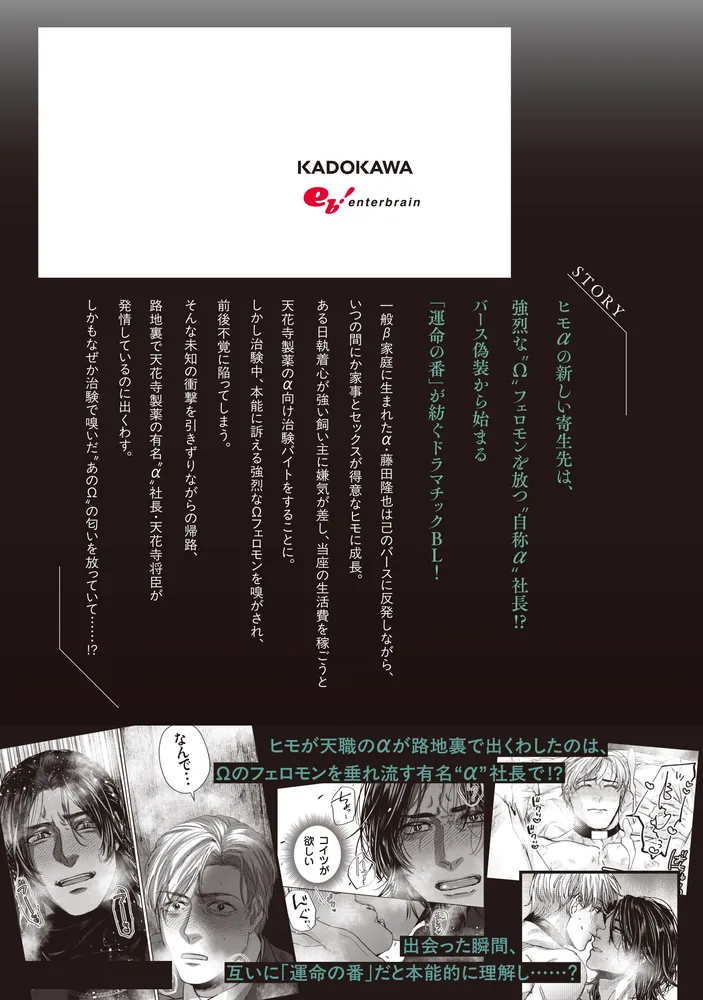 社長Ω、ヒモαを拾う。」凪澤 [B's-LOVEY COMICS] - KADOKAWA