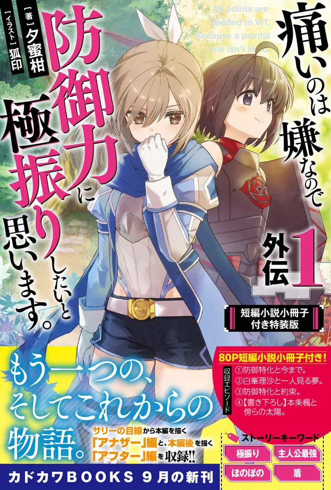 痛いのは嫌なので防御力に極振りしたいと思います。 外伝1 短編