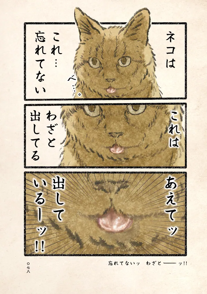 ネコ様　2枚セット 今日もネコ様の圧が強い2」うぐいす歌子 [コミックエッセイ] - KADOKAWA