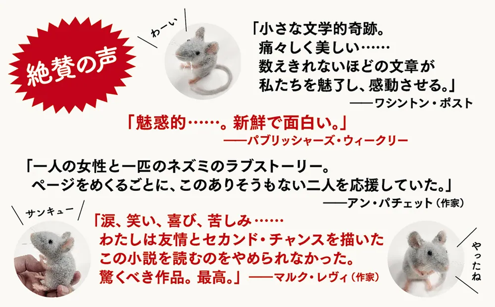 もふもふです もふもふ・てのりフレンズ｜発売日：2024年4月22日｜バンダイ