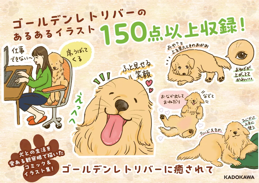 今日もゴールデンレトリバーに癒されて」かんち（8kanchi8） [コミック