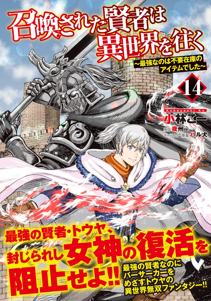 召喚された賢者は異世界を往く ～最強なのは不要在庫のアイテムでした