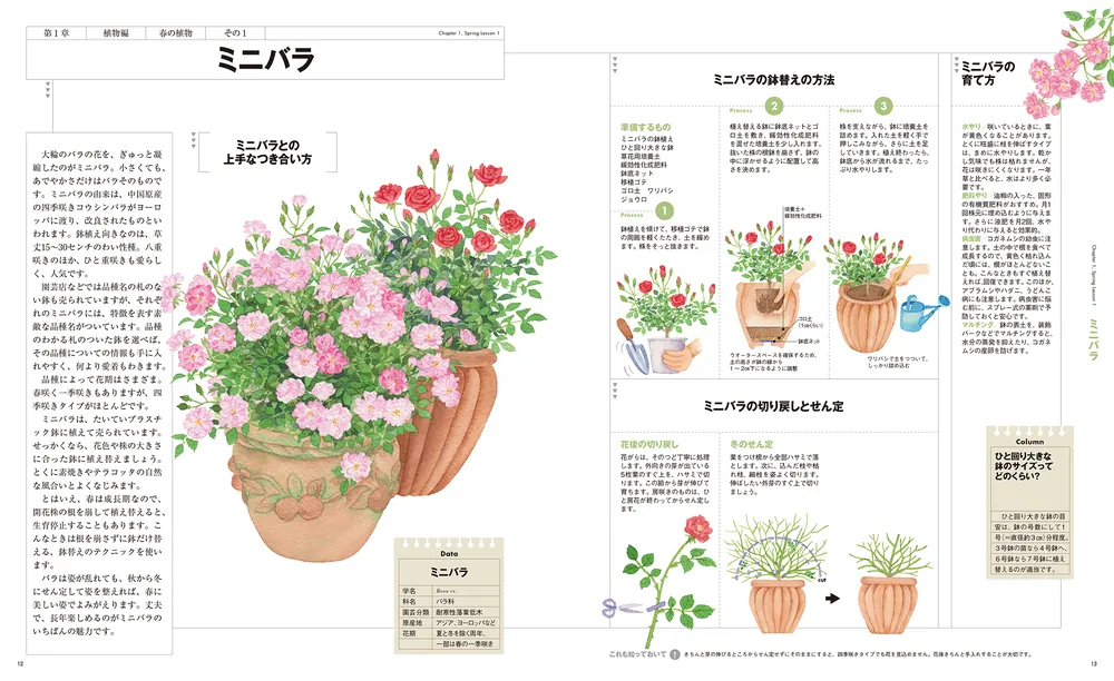 ENCYCLOPEDIA of GARDENING（ガーデニングの百科事典） ENCYCLOPEDIA of GARDENING（ガーデニングの百科事典