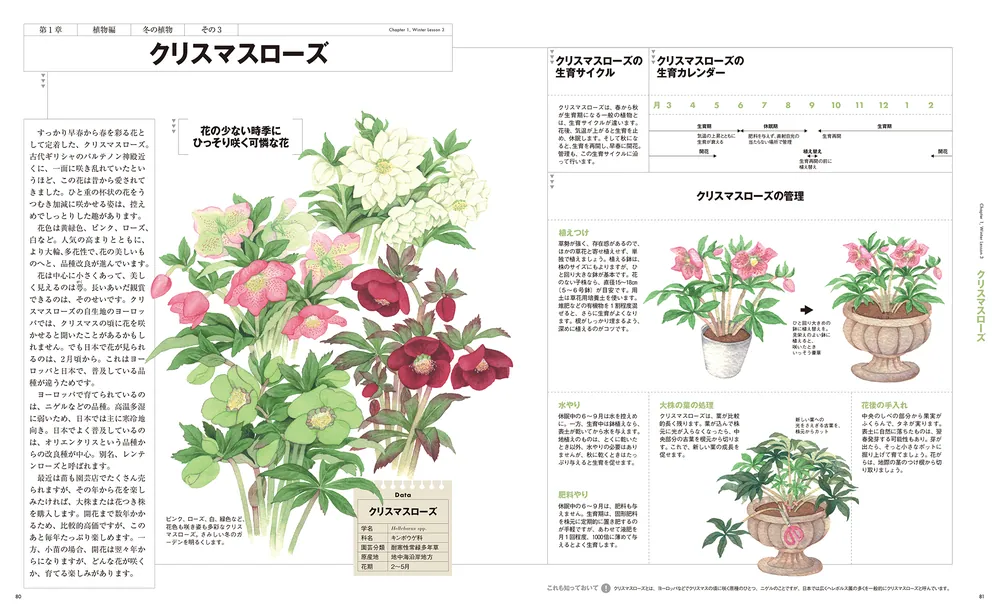 初心者向けガーデニング書籍5冊セット backend=imagemagick;version=1;