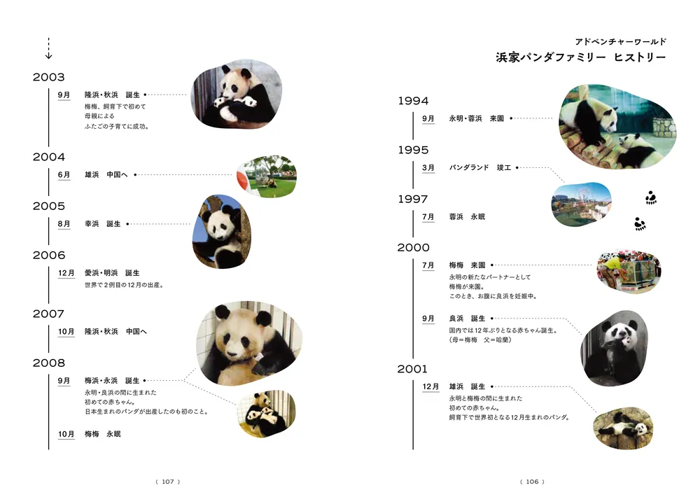 またね、尊いパンダたち。 旅に出たアドベンチャーワールドの浜