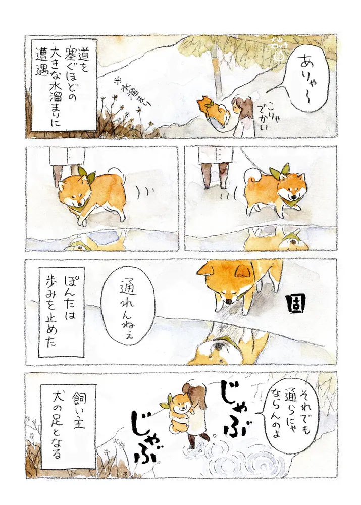 柴犬ぽんちゃん、今日もわが道を行く2」犬山スケッチ [コミック