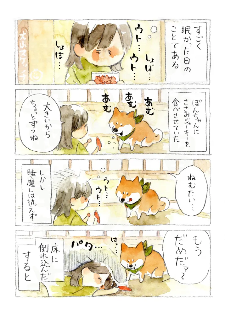 柴犬ぽんちゃん、今日もわが道を行く2」犬山スケッチ [コミック