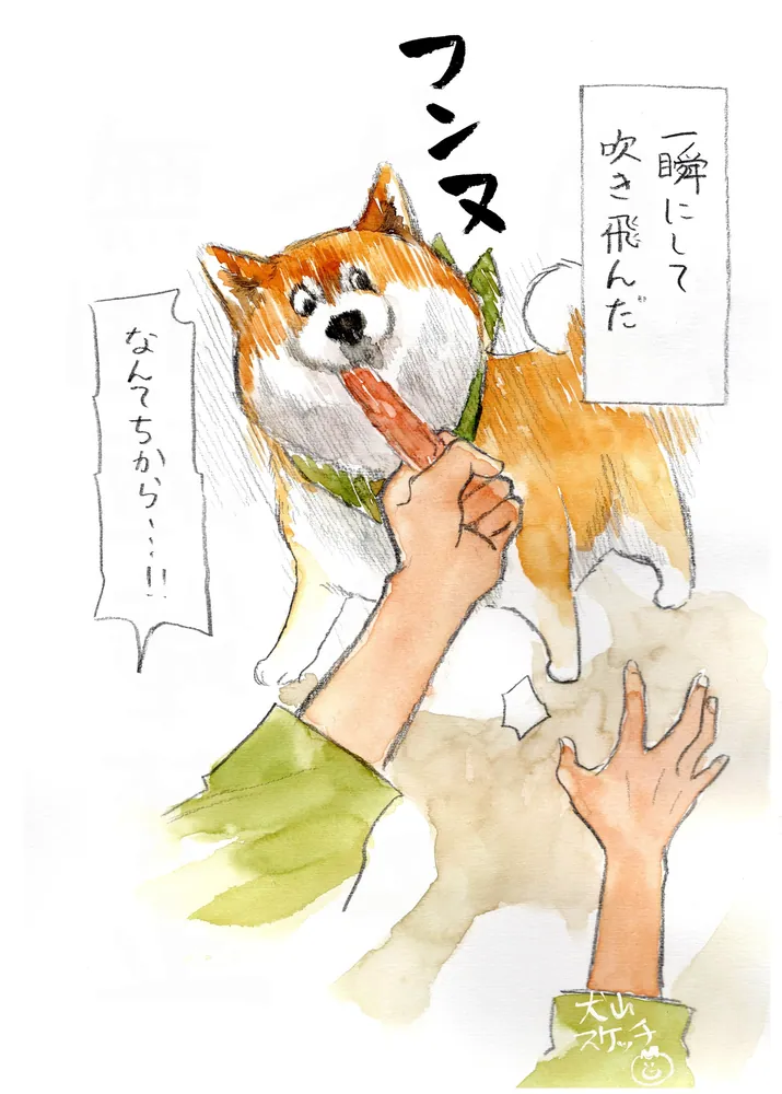 柴犬ぽんちゃん、今日もわが道を行く2」犬山スケッチ [コミック