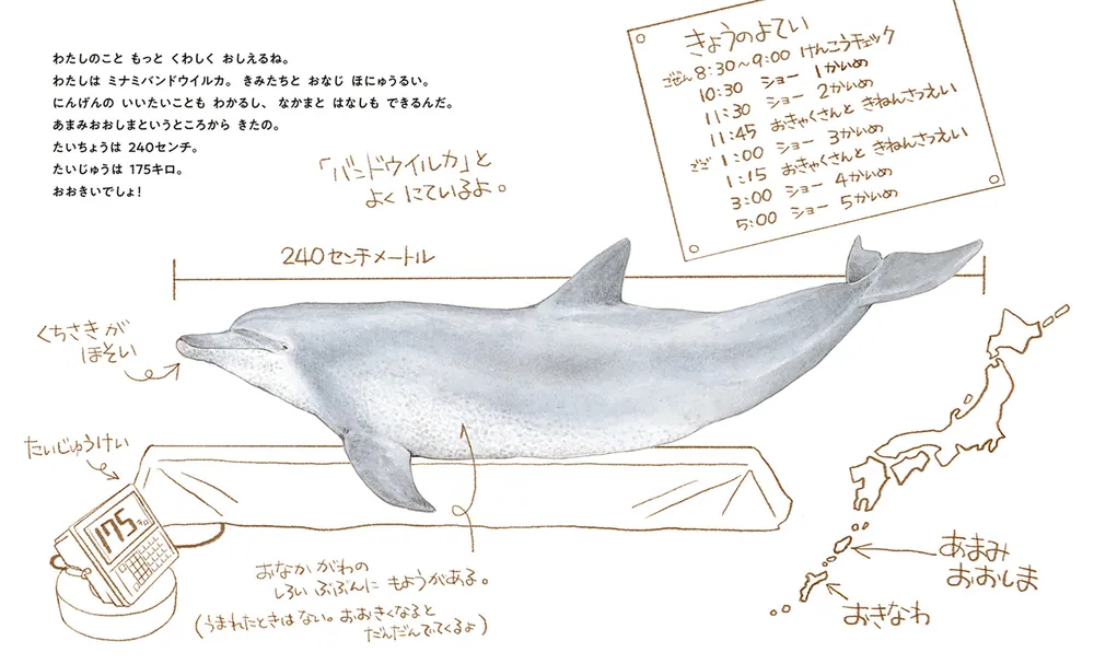 ちゅらうみのオキちゃん 5000万人を笑顔にしたせかいいちのイルカ