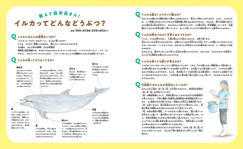 ちゅらうみのオキちゃん 5000万人を笑顔にしたせかいいちのイルカ