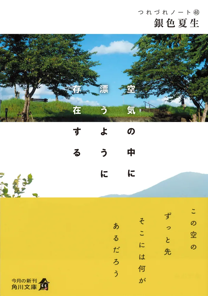 銀色夏生　つれづれノート1〜44巻（41〜43抜け）他、まとめ売り55冊セット 銀色夏生 つれづれノート1〜44巻（41〜43抜け）他、まとめ売り55