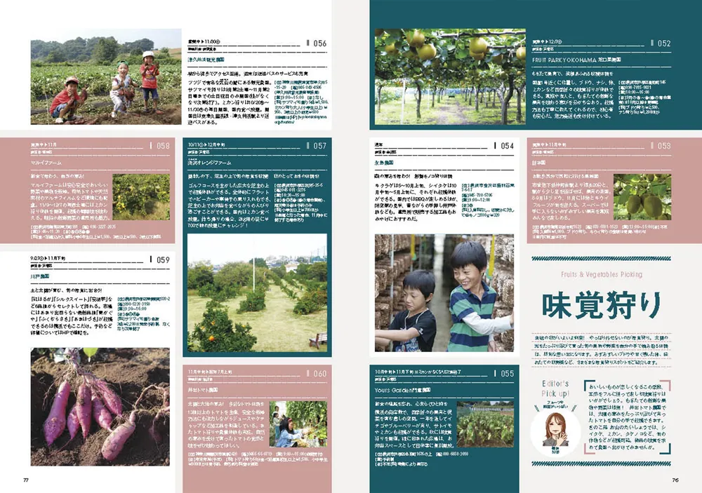 横浜LOVEWalker2025秋 ウォーカームック」 [ウォーカームック] - KADOKAWA