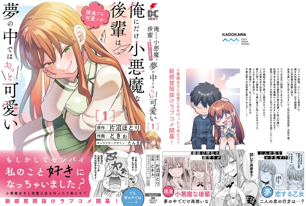 中学生高校生向け★小説★本40冊セット★美品★新品未開封あり！ 俺にだけ小悪魔な後輩は現実でも可愛いが、夢の中ではもっと