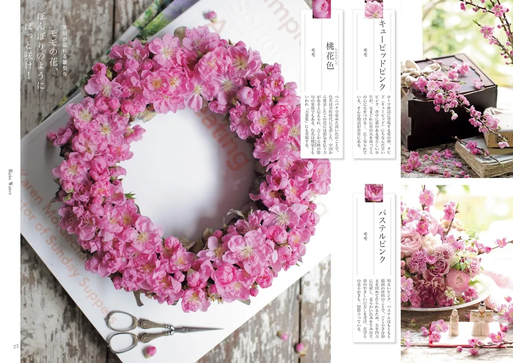 花と短歌でめぐる 二十四節気 花の色いろ」俵万智 [生活・実用書