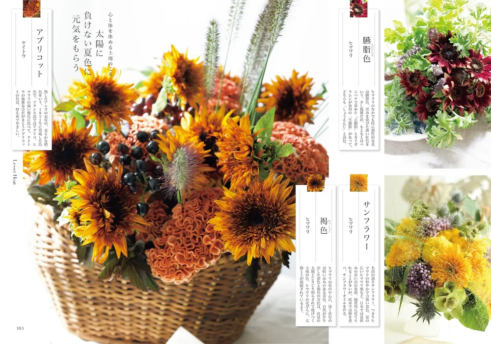 花と短歌でめぐる 二十四節気 花の色いろ」俵万智 [生活・実用書