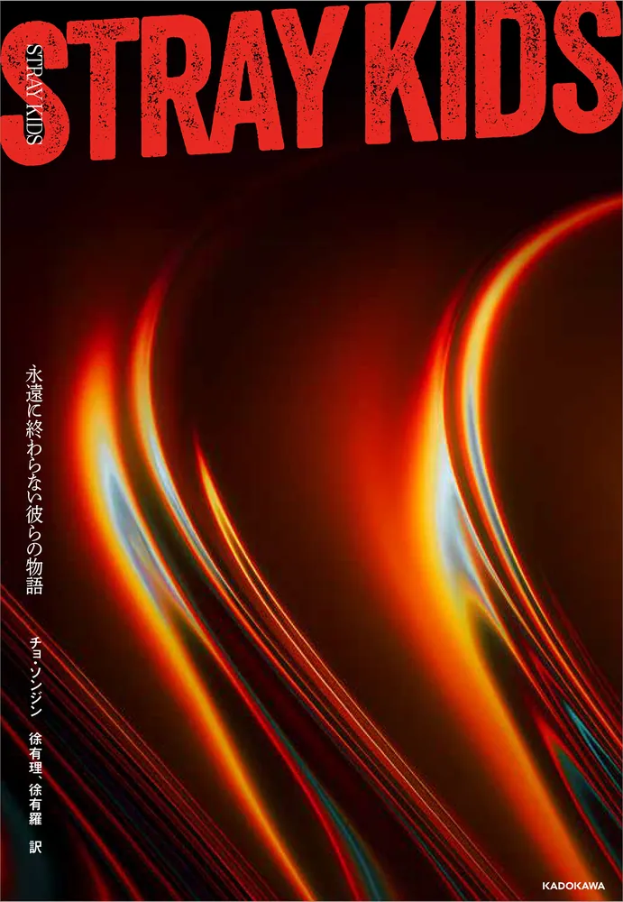 抜けなしスキズstarykids仁川celebrate10/19stayzone d0c2a5b4fea3660499d7d08921acd9