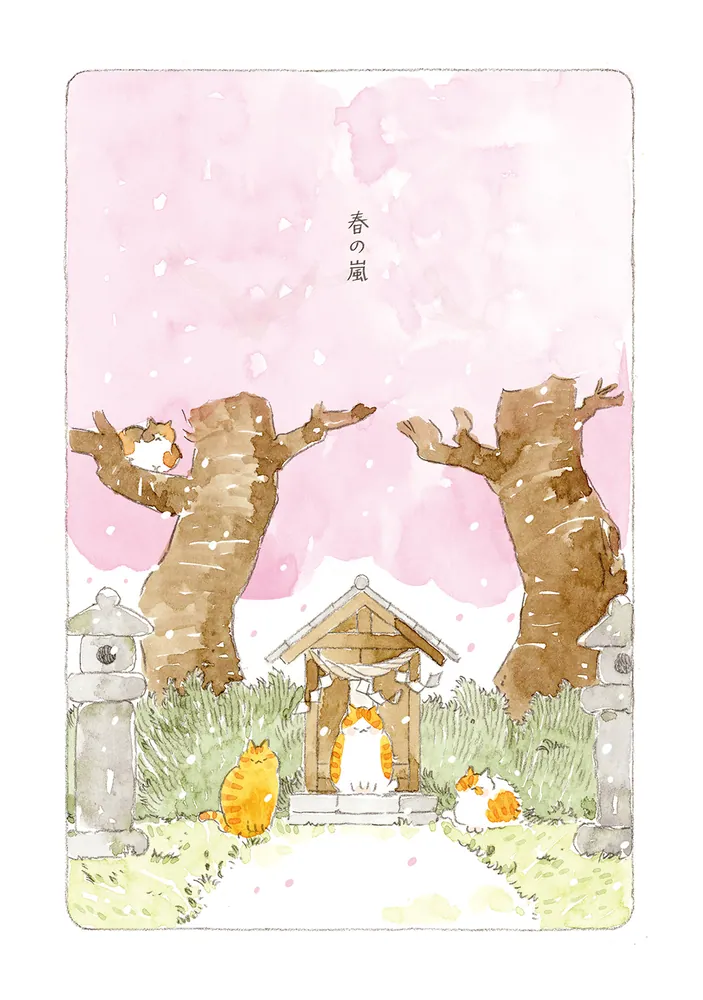 ねことじいちゃん（12）」ねこまき(ミューズワーク) [コミック