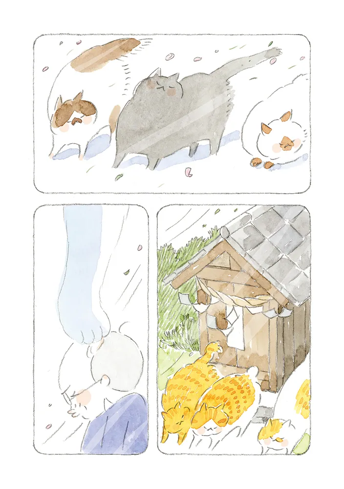 ねことじいちゃん（12）」ねこまき(ミューズワーク) [コミック