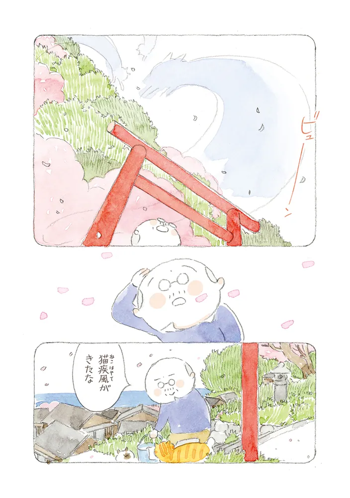 ねことじいちゃん（12）」ねこまき(ミューズワーク) [コミック