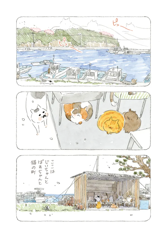 ねことじいちゃん（12）」ねこまき(ミューズワーク) [コミック