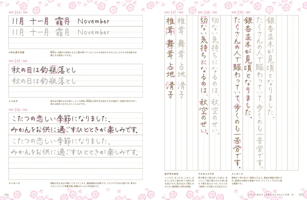 ふだんの美文字 季節を巡る365日の言葉」りさ [生活・実用書] - KADOKAWA