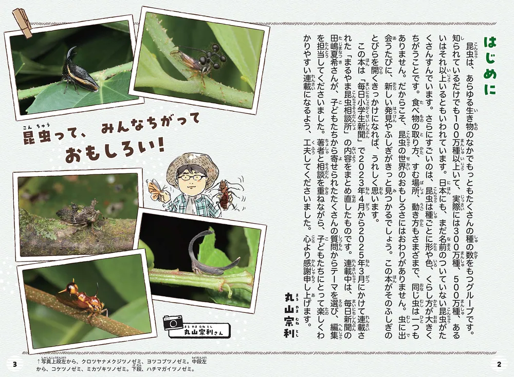 カブトムシって、しゃべるの？ 昆虫学者に聞いてみた！ 大人も知らない