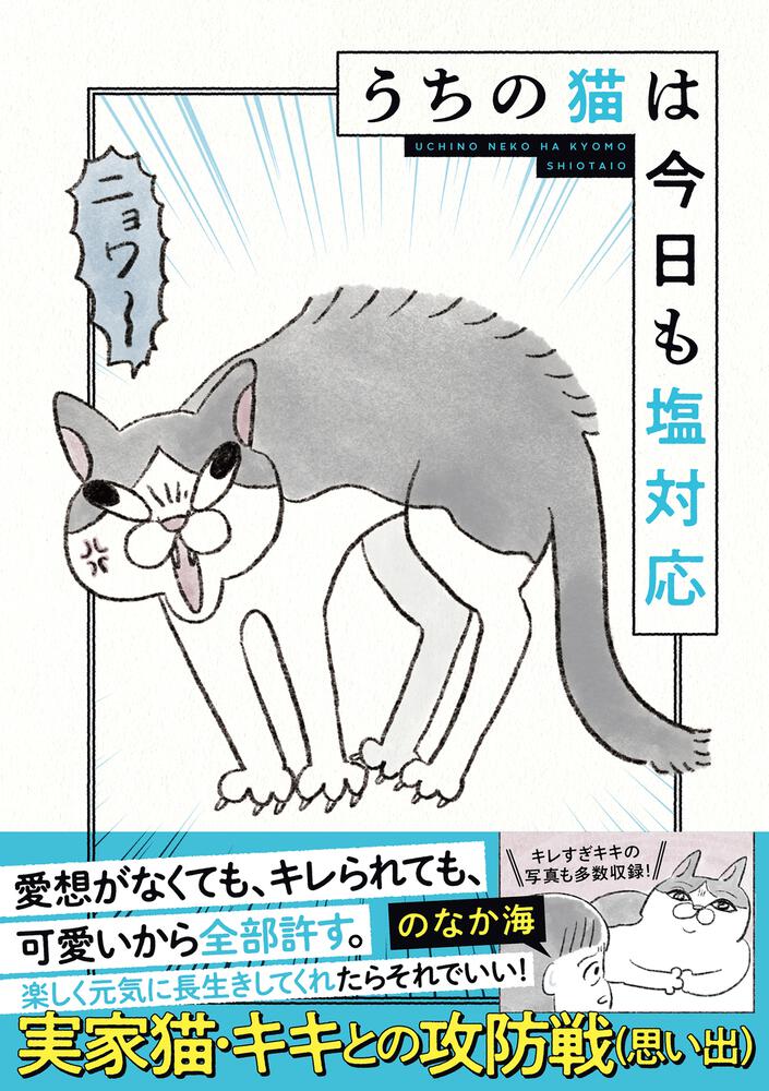うちの猫は今日も塩対応