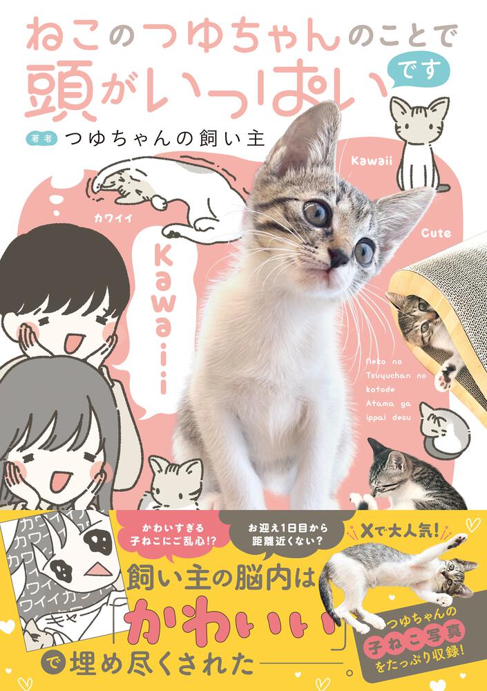 ねこのつゆちゃんのことで頭がいっぱいです