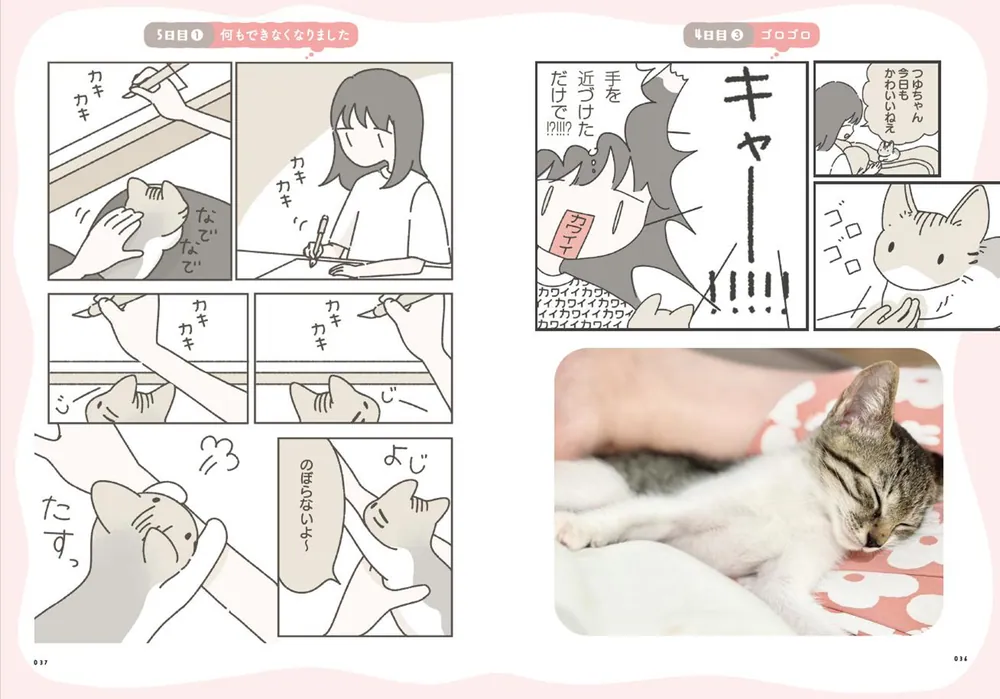 ねこのつゆちゃんのことで頭がいっぱいです」つゆちゃんの飼い主