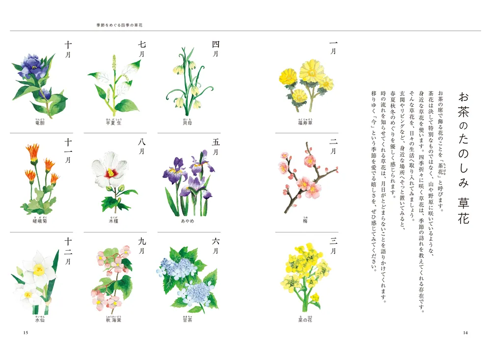 お茶の先生が伝える 季節をめぐる暮らしのたのしみ帖」北見宗雅 [生活