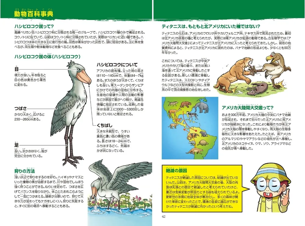 どっちが強い!? 荒ぶる巨大鳥バトル 爆走！飛べない鳥ティタニス」今泉