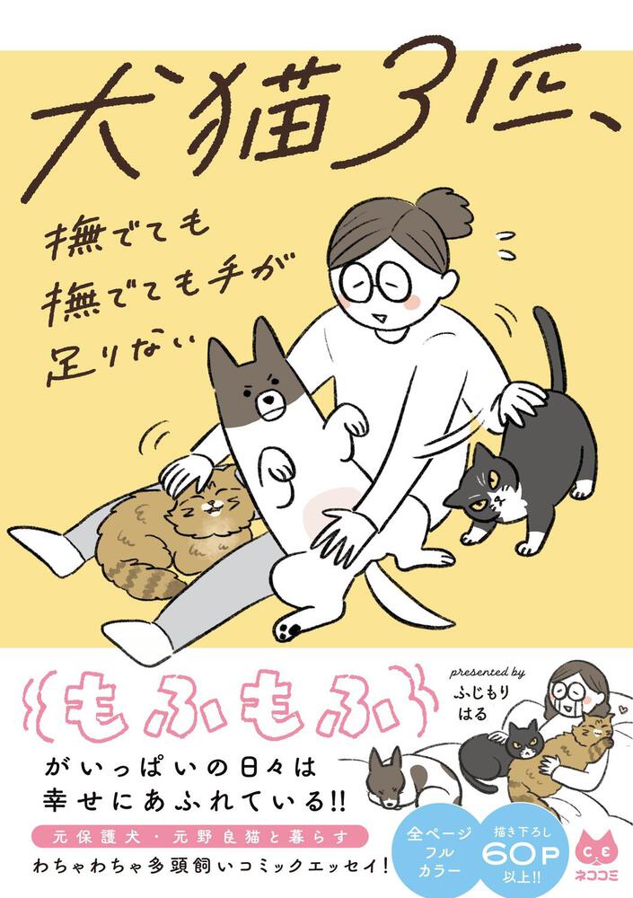 犬猫３匹、撫でても撫でても手が足りない