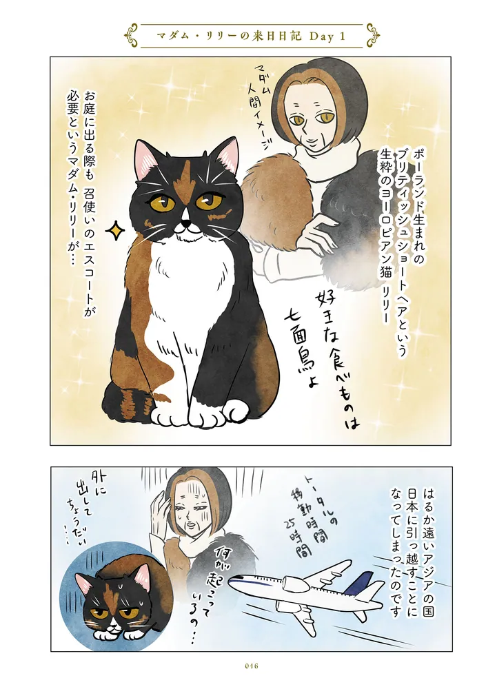 ポーランドからやってきた マダム猫の古民家暮らし」かんさび