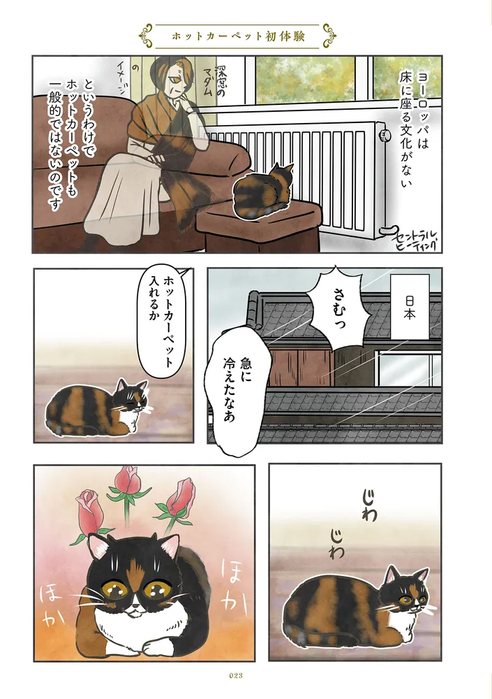 ポーランドからやってきた マダム猫の古民家暮らし」かんさび